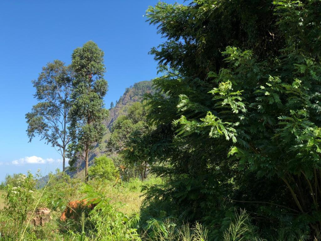 Sudumal Cottage Ella Luaran gambar