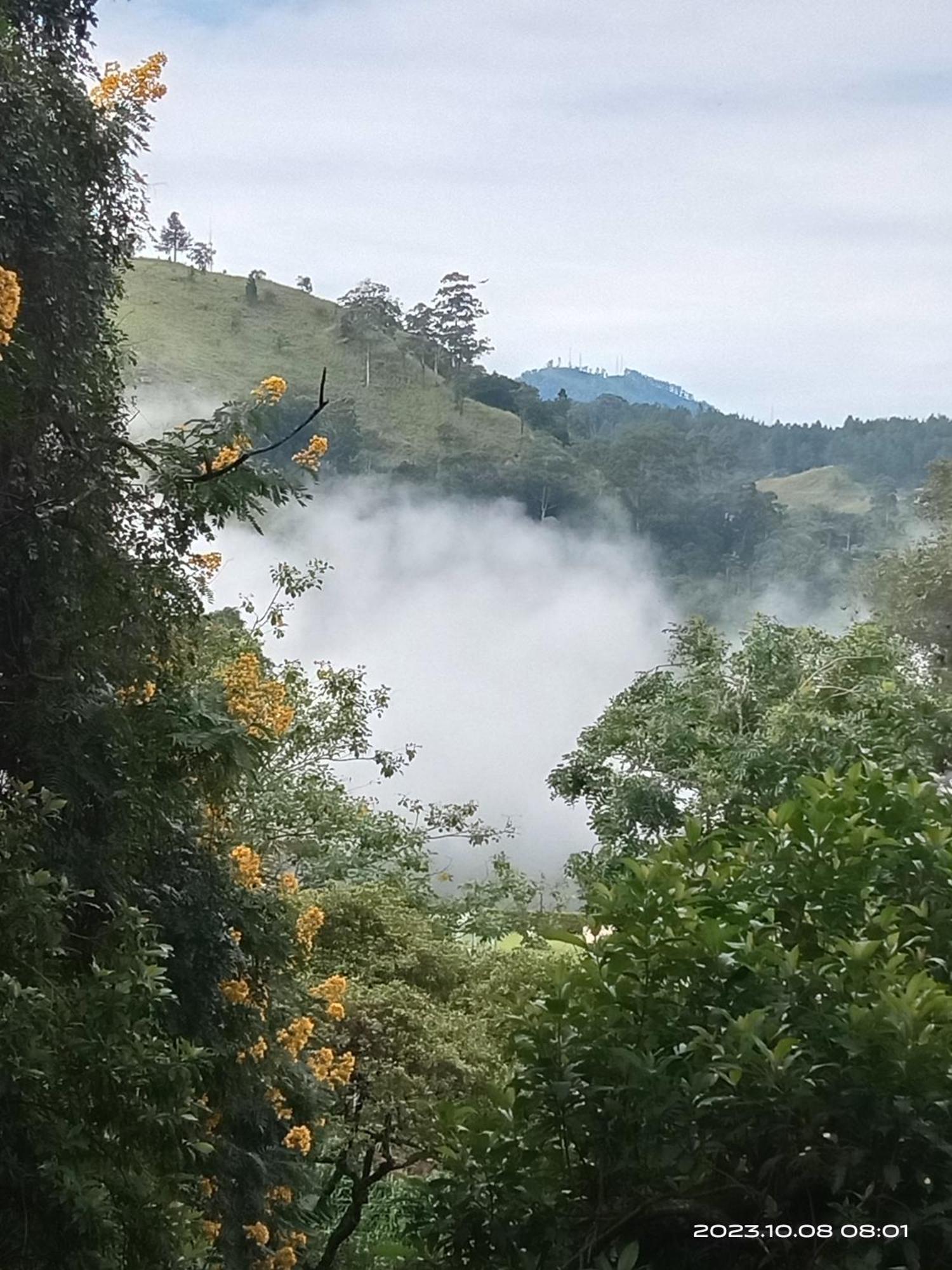 Sudumal Cottage Ella Bilik gambar