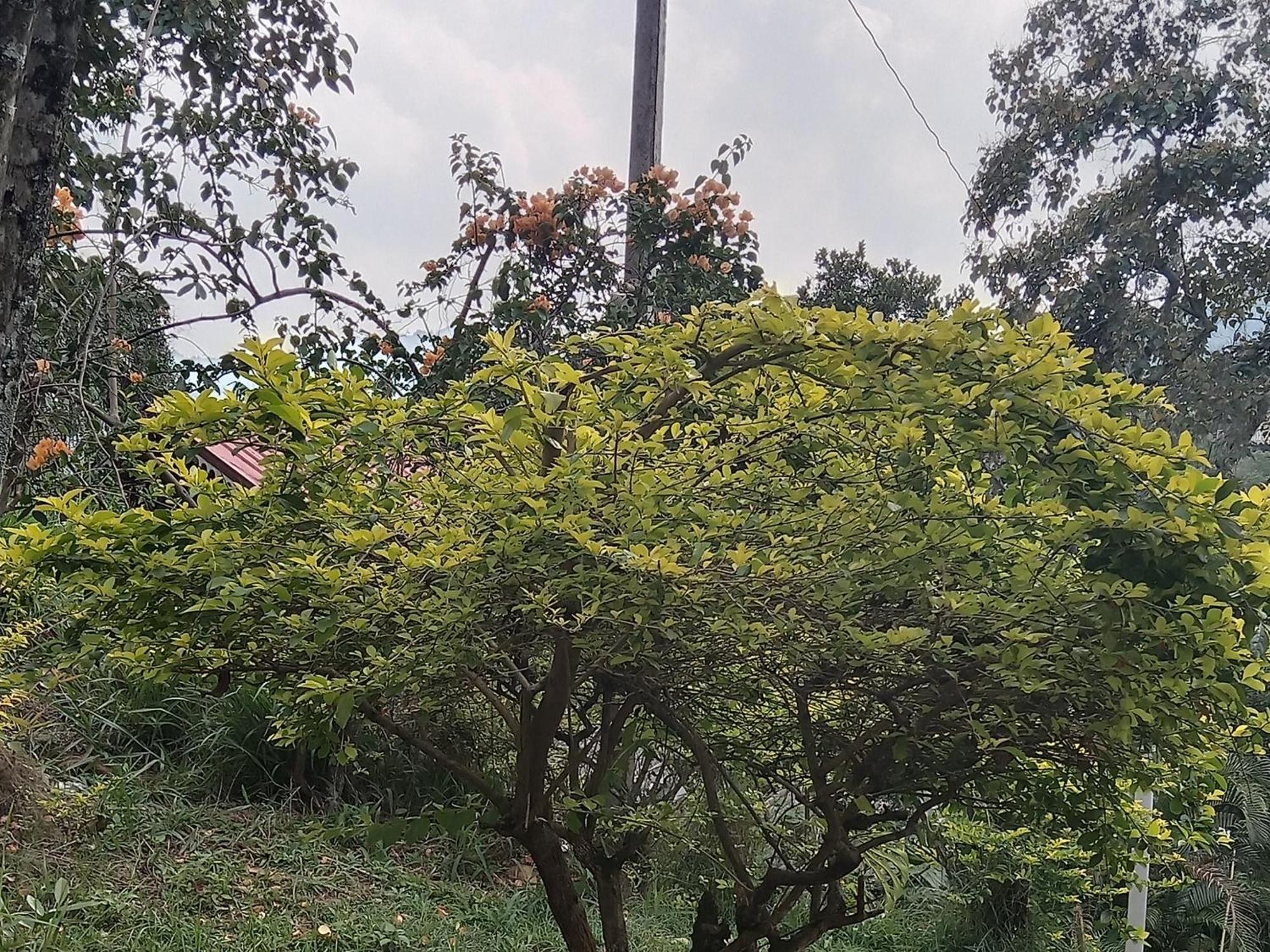 Sudumal Cottage Ella Bilik gambar