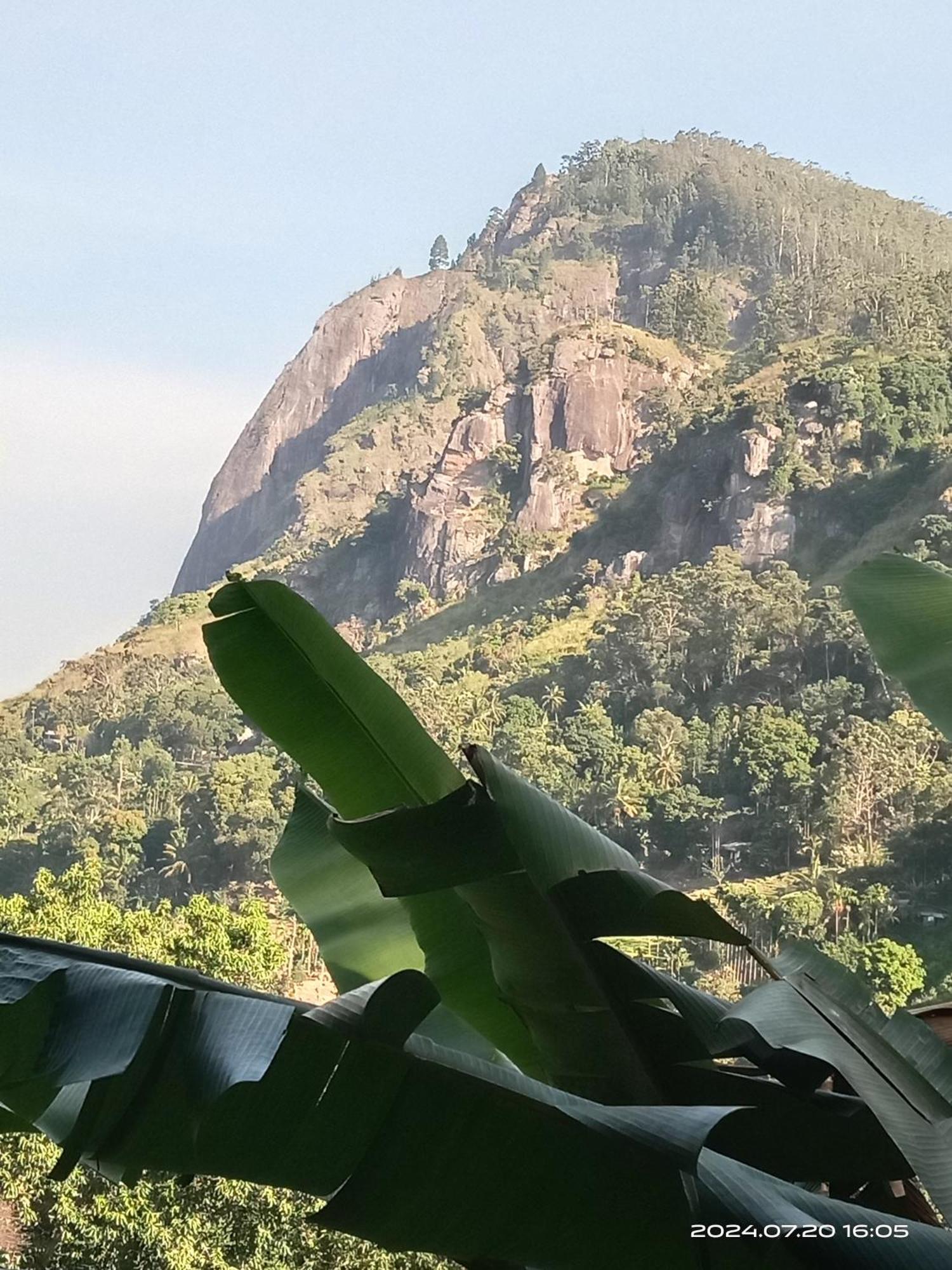 Sudumal Cottage Ella Luaran gambar