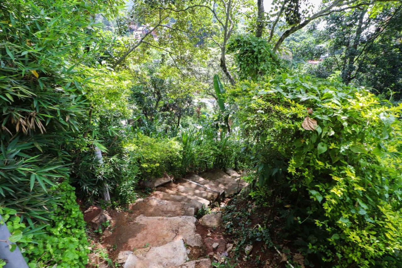 Sudumal Cottage Ella Luaran gambar